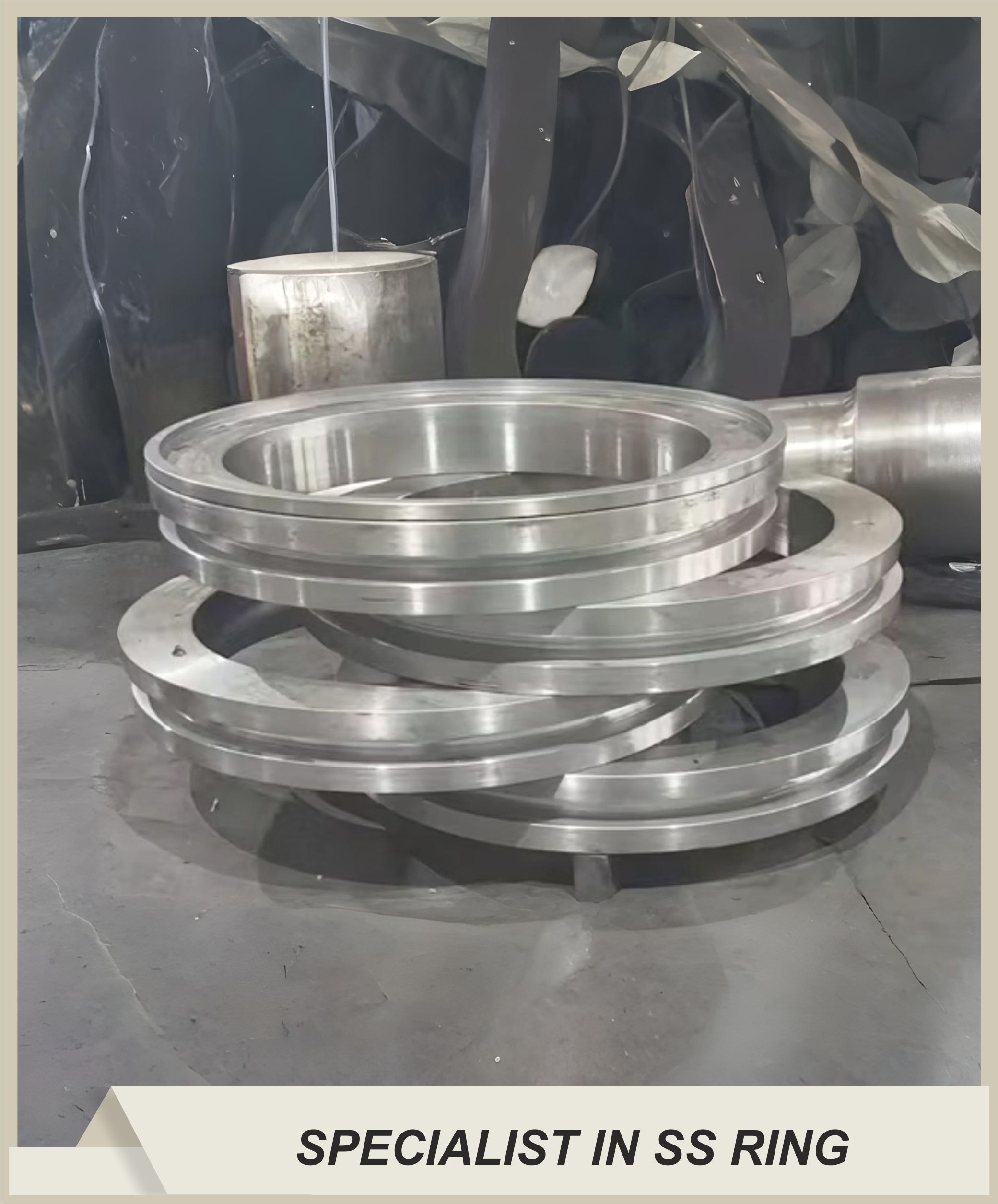 Stainless Steel 304 Rings